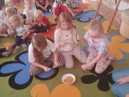 kopiuj  z img-20261023-wa0037